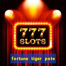 fortune tiger pote de ouro completo